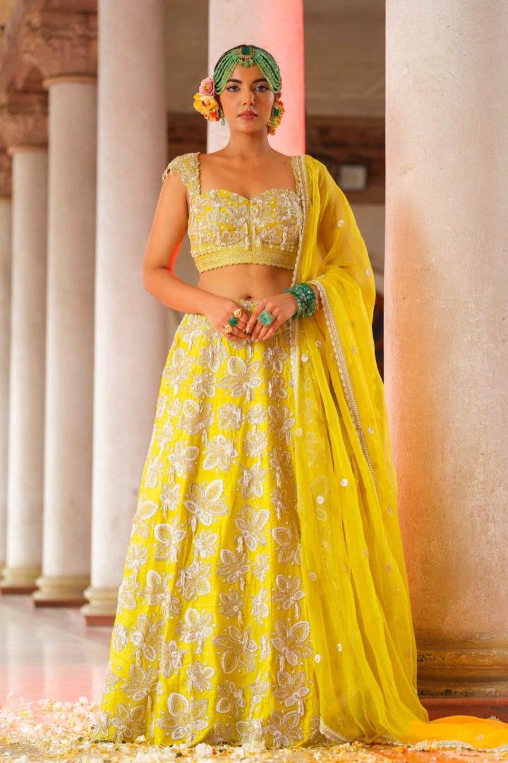Chandini lehenga set