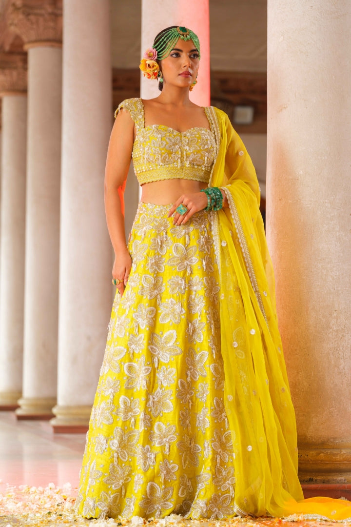 Chandini lehenga set