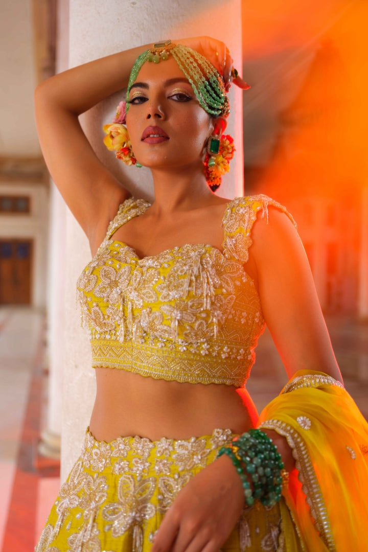 Chandini lehenga set