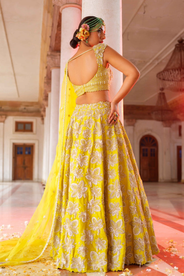 Chandini lehenga set