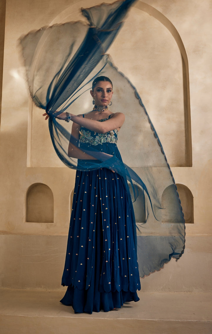 Neel Afreen Anarkali set