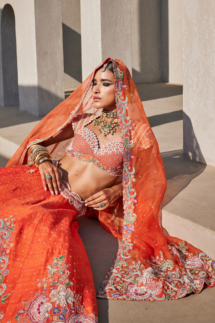 Aarani Lehenga Set