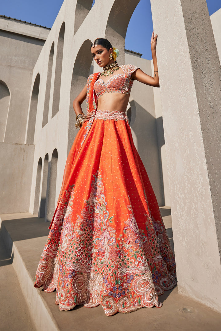 Aarani Lehenga Set