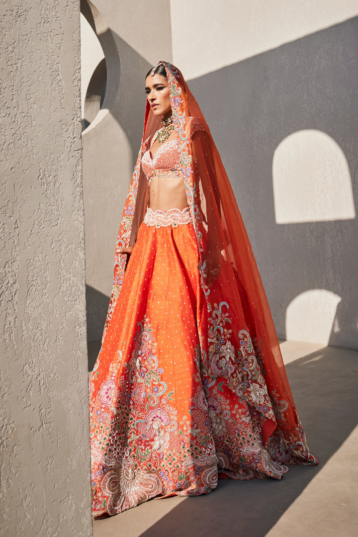 Aarani Lehenga Set