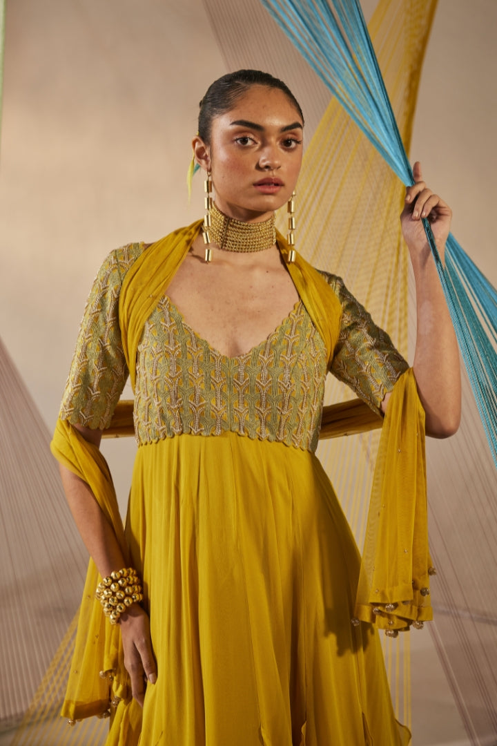 Aina anarkali set