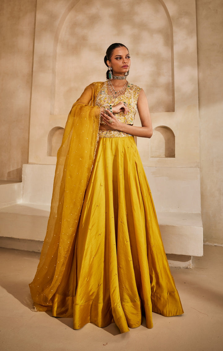 Peeli Noor lehenga set