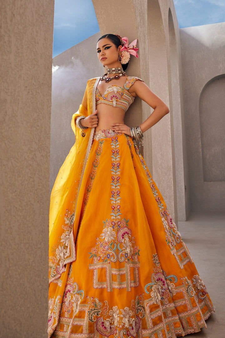 Zarira Lehenga Set