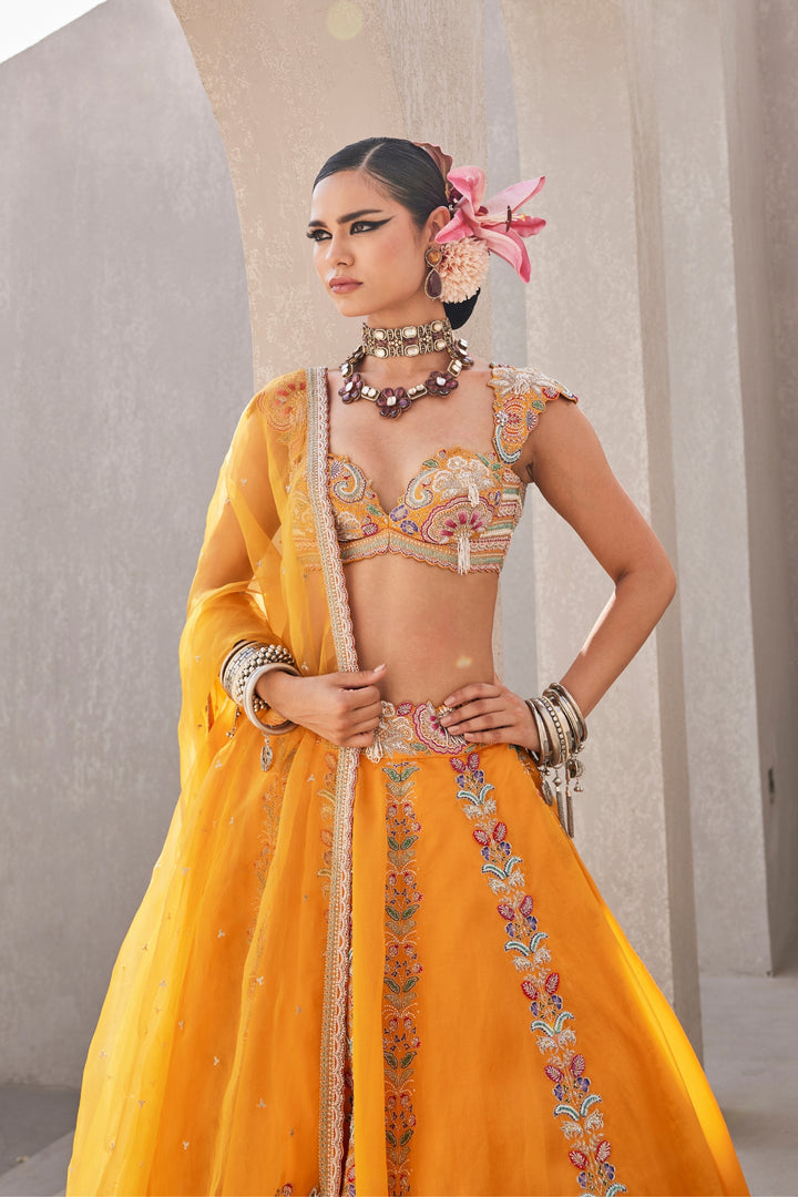 Zarira Lehenga Set