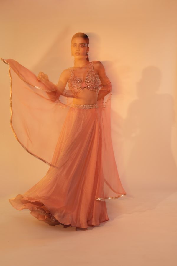 parijat lehenga set